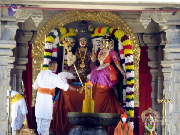 20080407 IMG 1865 CMP WM 0011.jpg