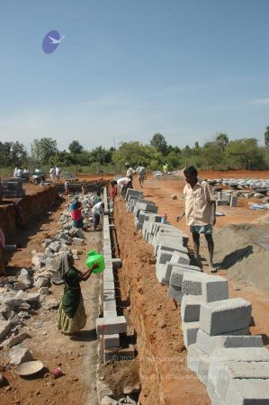 20080410 Tiru 9370.jpg