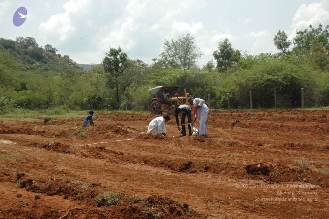 20080415 Photo 18 1GGN9arUAvOmnkSfROCFWoPHIW6kPx9z6.jpg