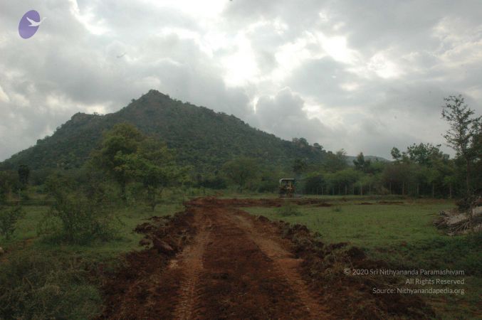 20080415 Photo 261 11KcJIMamvK-8JyS4s4L8CaIwV1mULH2U.jpg