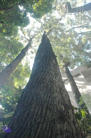 20080415 Photo 654 1Ygb9G4F1B9imtAmb5XgPTpVgbs-4Afod.jpg