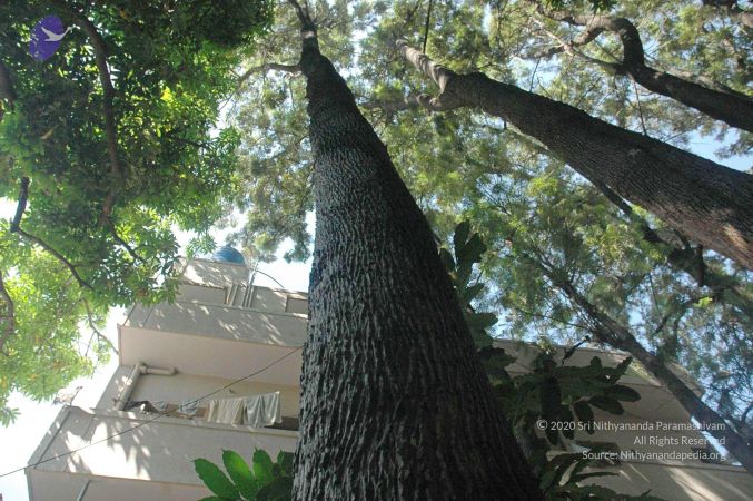 20080415 Photo 656 1di2lh38RkypdUTCKVI-Q0q2LYOI9vrpH.jpg