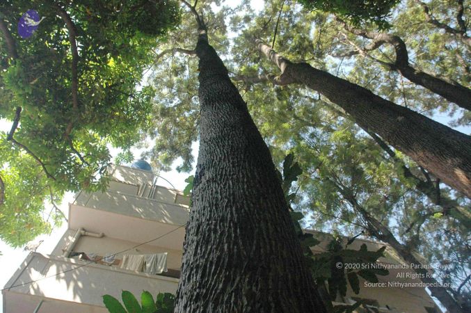 20080415 Photo 657 14mzW3qX8NSe5QCTPFPP5K7kuBDFXc72d.jpg