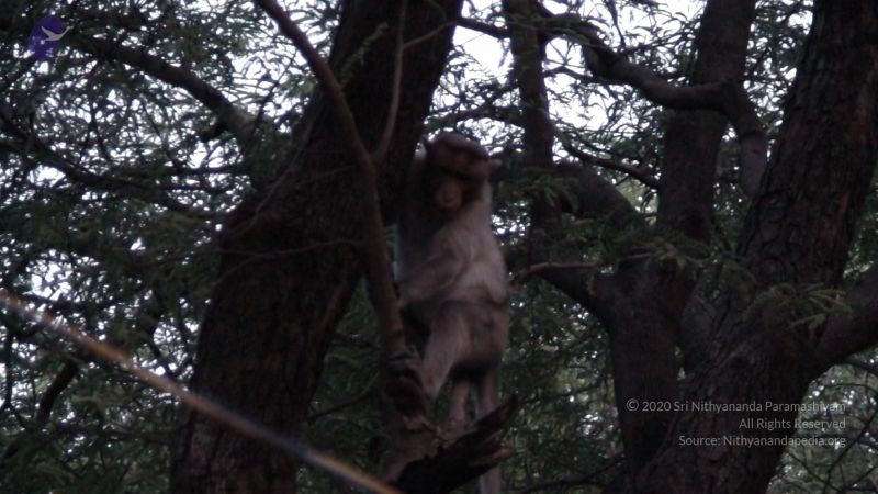 20080419 Photo 1420 1AlHEAxROwaVgBKtX8927m3Rk5ZfHd1Cu.JPG