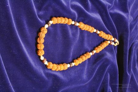 200804 LAEvents 5440.jpg