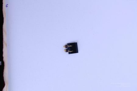 200804 LAEvents 5625.jpg