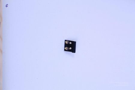 200804 LAEvents 5627.jpg