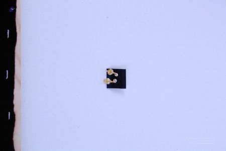 200804 LAEvents 5640.jpg