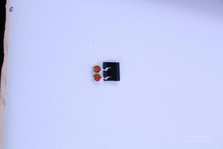 200804 LAEvents 5644.jpg