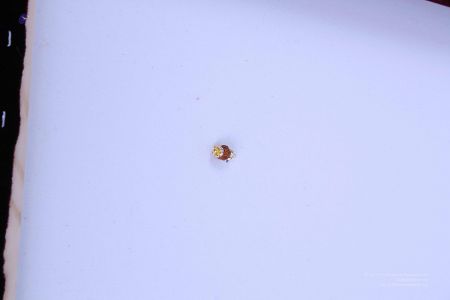 200804 LAEvents 5659.jpg