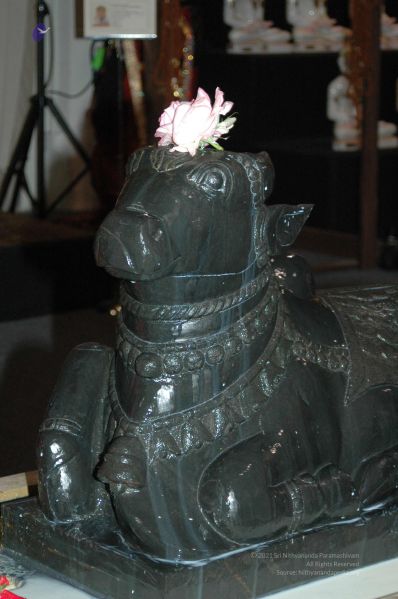 File:20080503 0569.jpg