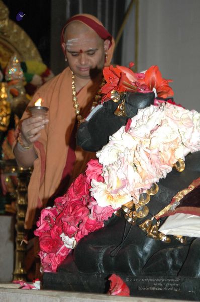 File:20080503 0668.jpg