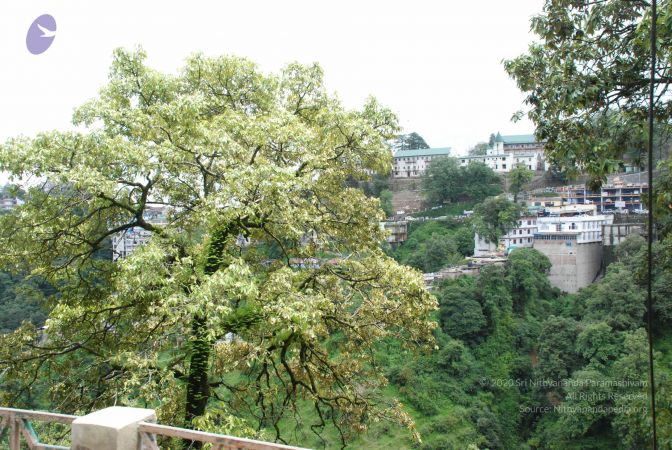 20080629 Photo 1198 1K7U6~CXqZSLk2mnFjuvuBCQt4hBSups.JPG