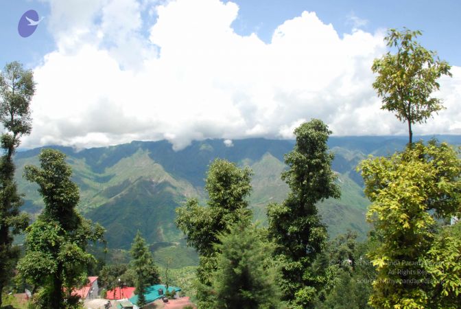 20080629 Photo 1215 1y0dIHYkfkxvrFyg 0LZOOH4e2pNeVagA.JPG