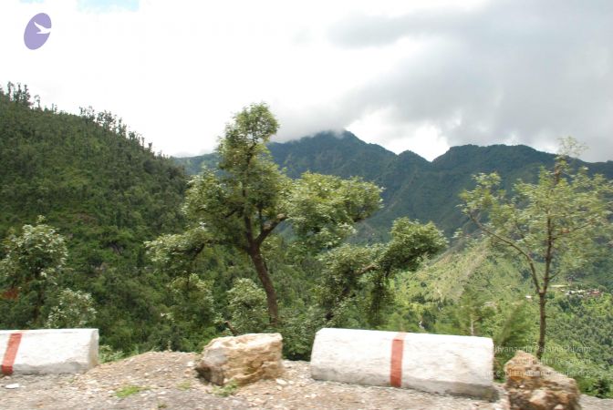 20080629 Photo 1256 1PhT7izj qbLGs9rHyqxqO3sb1dniOFDh.JPG