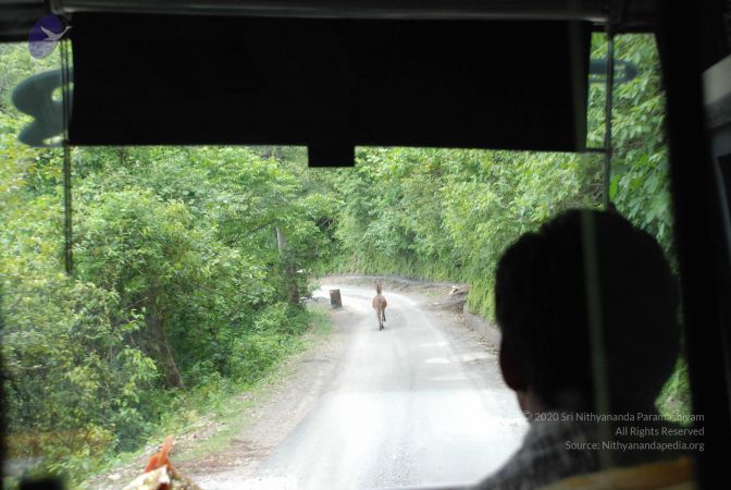 20080629 Photo 1321 1uSftpw-zt7j-uaDcE056fJSgldywqH-Z.JPG