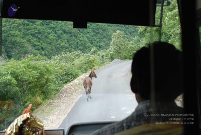 20080629 Photo 1323 16w9UKWD6rRNcJzPsoHe81Q9QhCzIwx4O.JPG