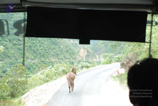 20080629 Photo 1327 1Yn2S9Jfewy X0XxsKPFG1FmX-hf1iA0a.JPG