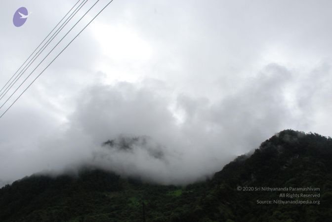 20080630 DSC 0113 CMP WM.jpg