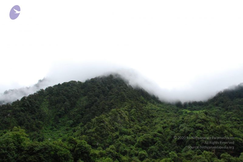 File:20080630 DSC 0237 CMP WM.jpg