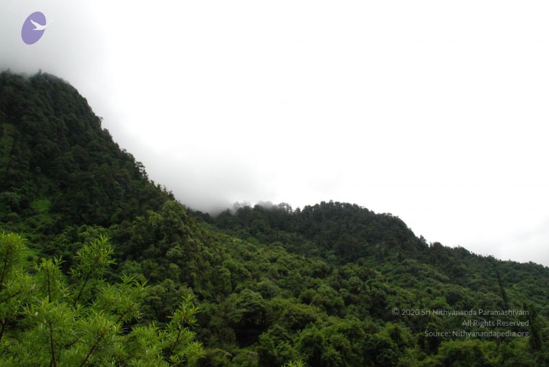 File:20080630 DSC 0268 CMP WM.jpg
