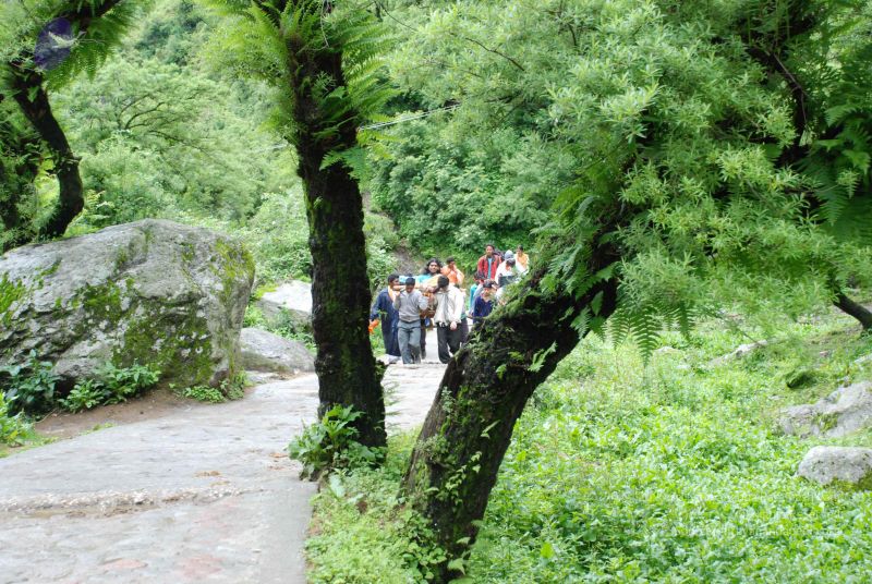 File:20080630 DSC 0288 CMP WM.jpg