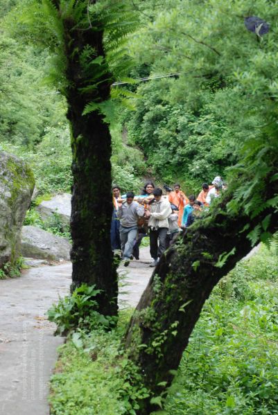 File:20080630 DSC 0289 CMP WM.jpg