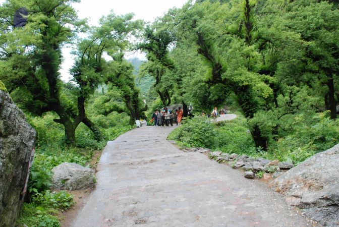 20080630 DSC 0291 CMP WM.jpg