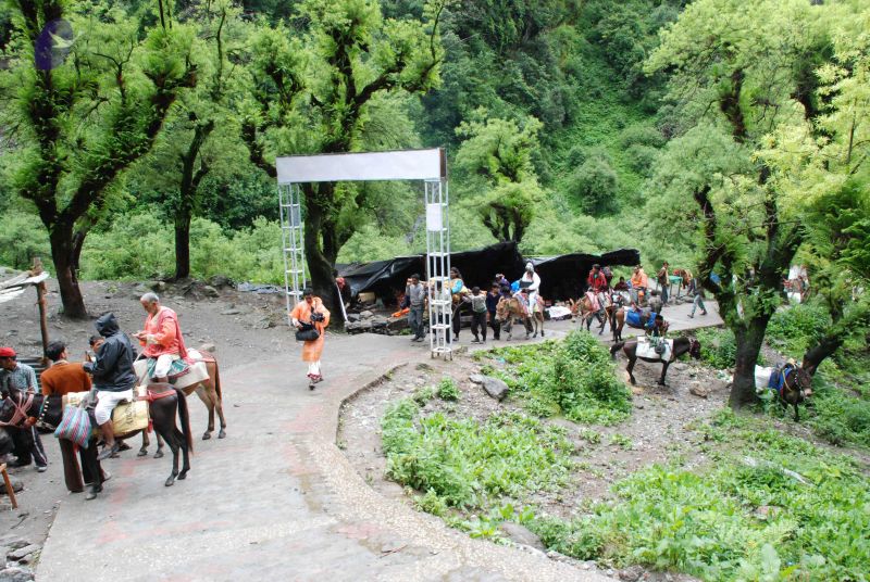 File:20080630 DSC 0299 CMP WM.jpg