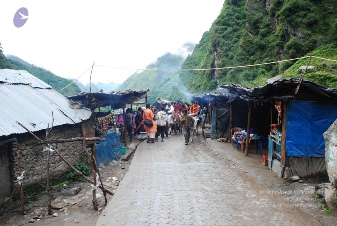 20080630 DSC 0338 CMP WM.jpg