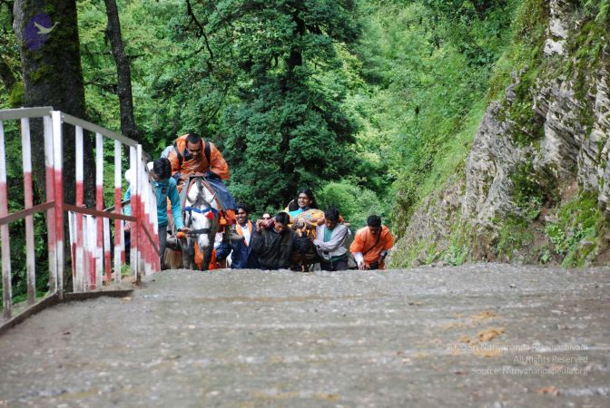 20080630 DSC 0588 CMP WM.jpg