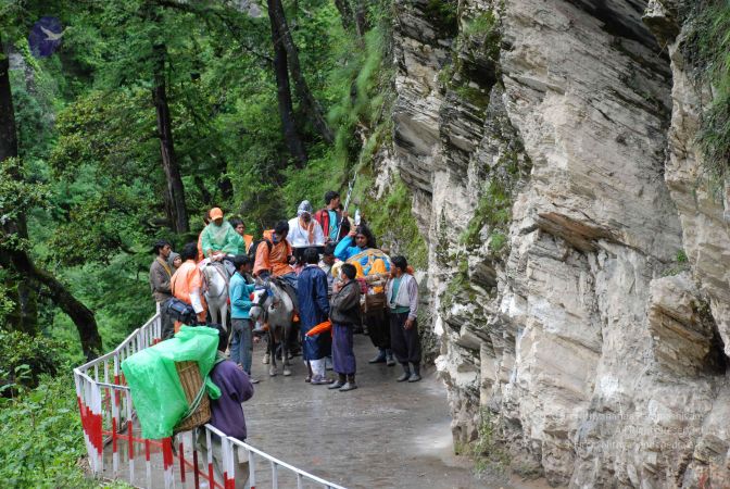 20080630 DSC 0599 CMP WM.jpg