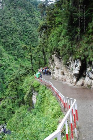 20080630 DSC 0605 CMP WM.jpg