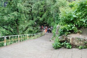 20080630 DSC 0619 CMP WM.jpg