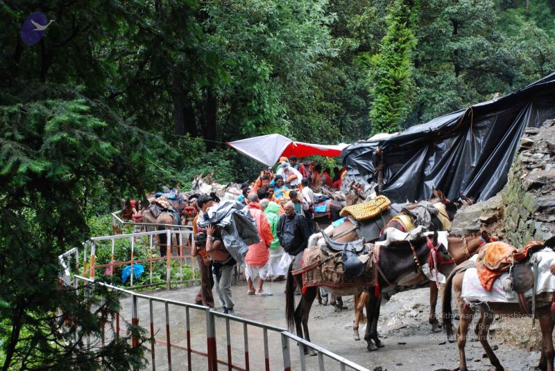 File:20080630 DSC 0624 CMP WM.jpg