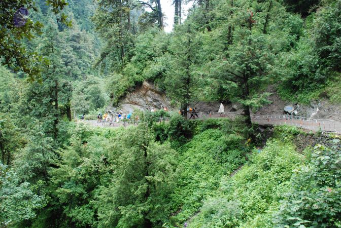 20080630 DSC 0642 CMP WM.jpg