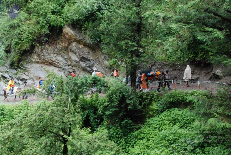 File:20080630 DSC 0643 CMP WM.jpg