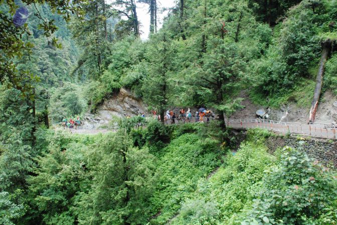 20080630 DSC 0644 CMP WM.jpg