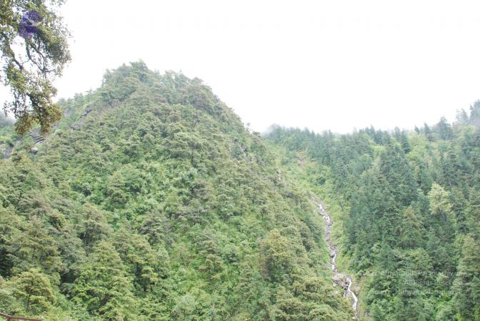 20080630 DSC 0653 CMP WM.jpg