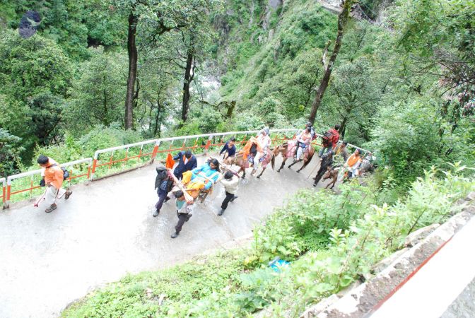 20080630 DSC 0725 CMP WM.jpg