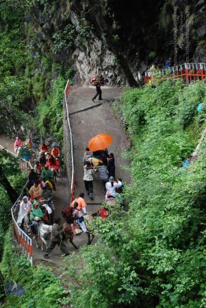 20080630 DSC 0823 CMP WM.jpg