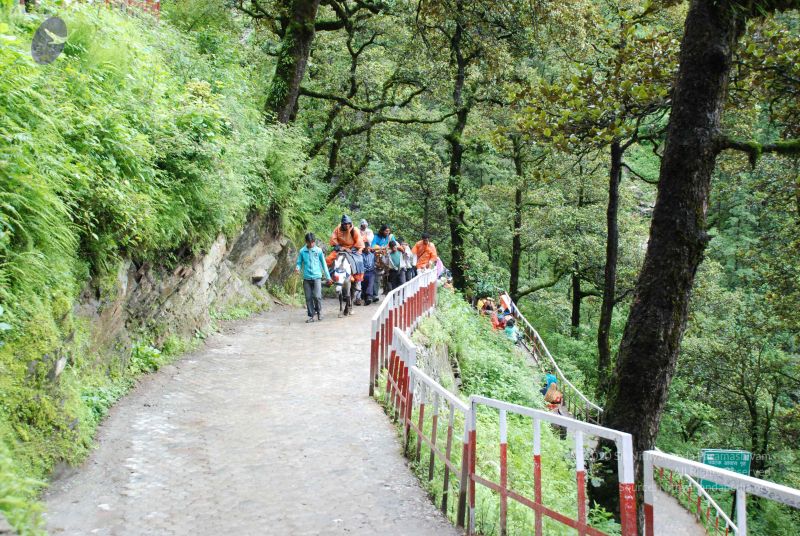 File:20080630 DSC 0849 CMP WM.jpg
