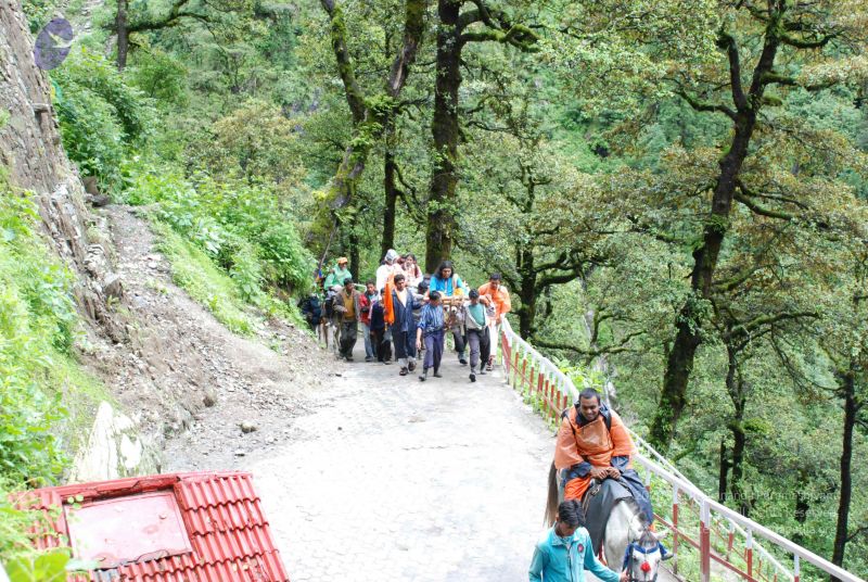 File:20080630 DSC 0859 CMP WM.jpg