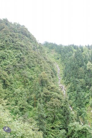 20080630 Photo 1167 1MUF8mci3j6k8KER7TRdn PQcS5stfIAN.JPG