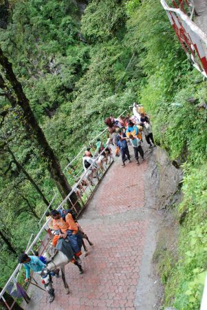 20080630 Photo 1253 1CgVrJuKbGy5Rd8W4mW76oq1OmHr18iZW.JPG