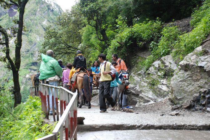 20080630 Photo 1261 1AeLwco7IhdNa2mH1KFP62KM2tYmX74X1.JPG