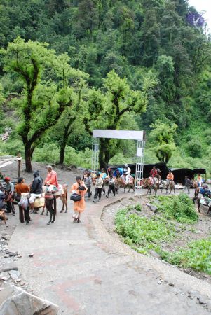 20080630 Photo 1688 14eIUxVSihUGNshZvPnWXiBzyRbWXAM6R.JPG