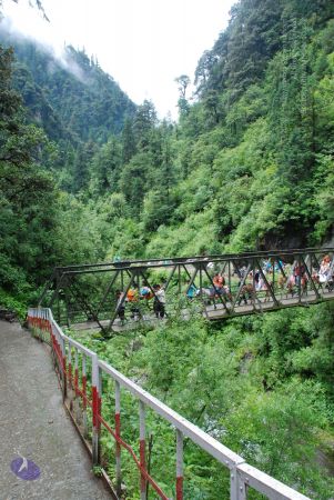 20080630 Photo 1795 1NgVfZXav0V3sMk8LakS3p015PzVDYDfC.JPG