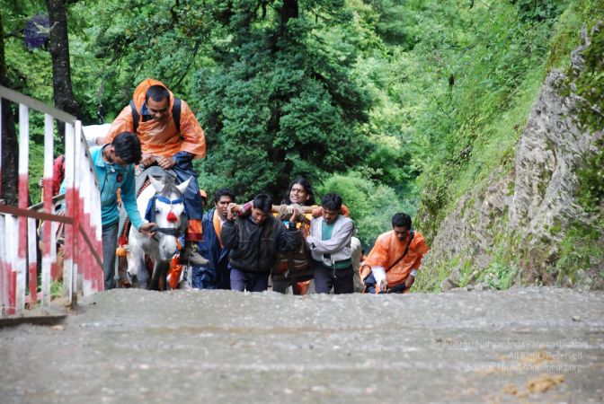 20080630 Photo 1817 1HzxTgcT A vtY6TH3dK5DKgjjVw3KbaW.JPG