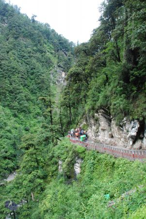 20080630 Photo 1839 1g6vjraasLXDTQ54Oor a8xrb9PuMkfhj.JPG